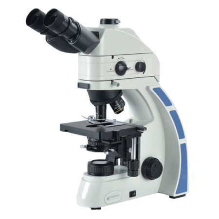 Fluorescence Microscope  43-FMS100
