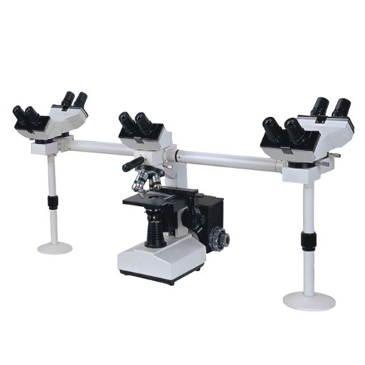 Multi-Viewing Biological Microscope  43-MBM100